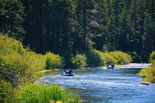 Two rafts float down a serene river surrounded by lush greenery and tall trees under a clear blue sky.