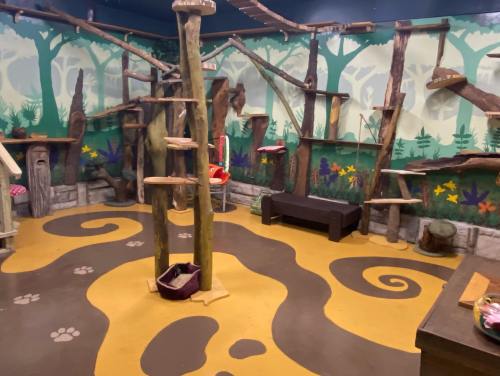 A colorful playroom with tree-like structures, climbing areas, and a nature-themed mural on the walls.