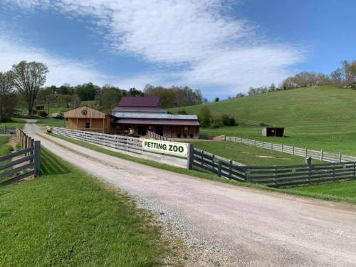A gravel road leads to a petting zoo with a wooden barn and green fields under a blue sky.