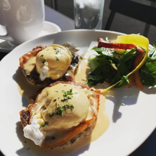A plate of eggs Benedict with poached eggs, hollandaise sauce, and a side salad, served in bright sunlight.