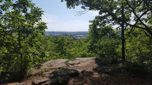 A scenic view from a rocky outcrop, surrounded by lush green trees, overlooking a river and distant landscape.