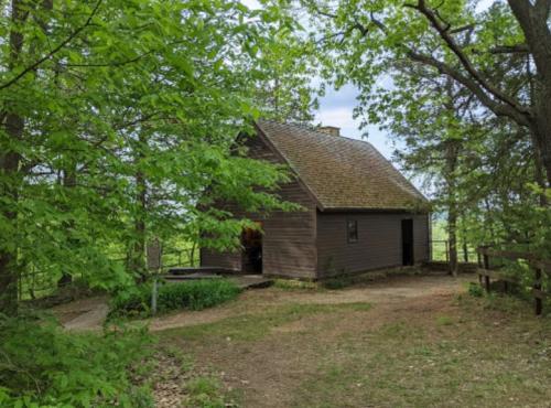 A small wooden cabin surrounded by lush green trees and a dirt path, set in a tranquil natural landscape.