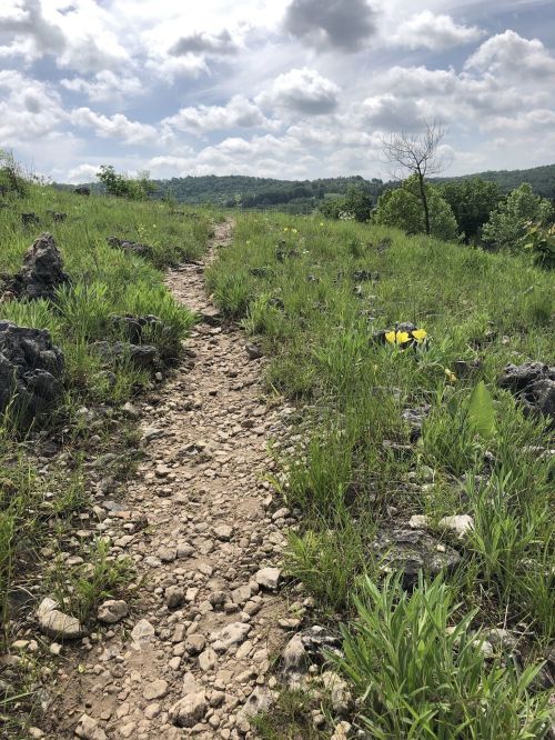 A rocky trail winds through lush green grass, surrounded by hills and a cloudy sky.