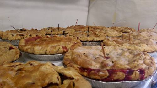 A variety of freshly baked pies with golden crusts, some topped with toothpicks, arranged on a table.