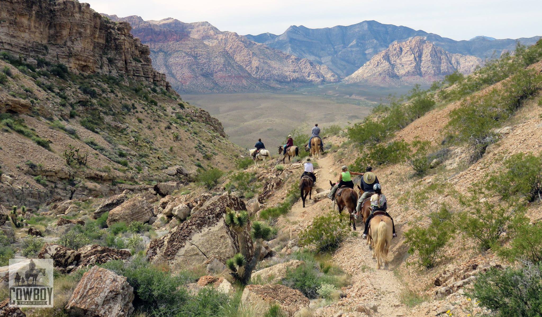 A Horseback Ride From Cowboy Trail Rides Offers A Unique Experience In ...