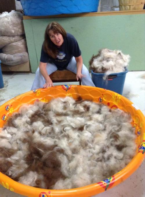A woman sits beside a large orange pool filled with fluffy, brown and white fibers, looking surprised or amused.
