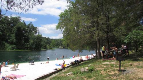 A sunny lakeside scene with people swimming, sunbathing on the beach, and enjoying a picnic under trees.