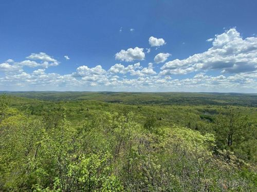 A panoramic view of lush green hills under a bright blue sky with fluffy white clouds.