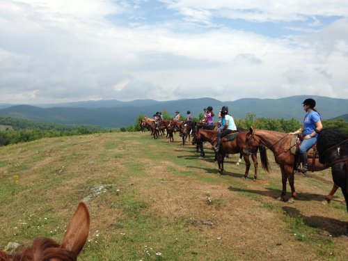 A line of horseback riders on a grassy hill, with mountains and cloudy skies in the background.
