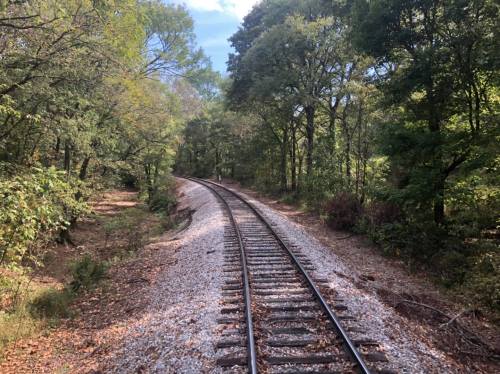 A winding railway track surrounded by lush green trees and foliage under a clear blue sky.