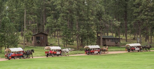 Horse-drawn wagons lined up on a dirt path, surrounded by trees and rustic cabins in a scenic outdoor setting.