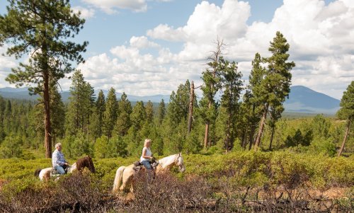 Two riders on horseback traverse a scenic forest landscape with mountains and clouds in the background.