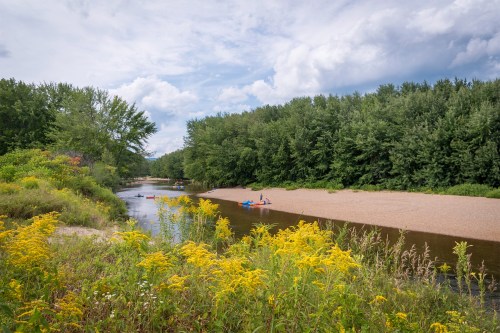 A serene river scene with kayakers, sandy banks, lush greenery, and wildflowers under a cloudy sky.