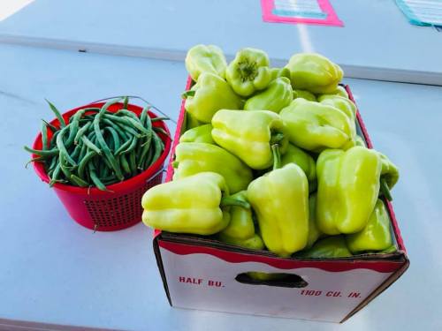 A box of green bell peppers next to a red basket of green beans on a table.