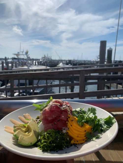 A plate of colorful poke bowl with avocado, mango, and greens, set against a marina view under a blue sky.