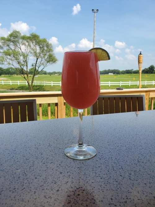 A refreshing pink cocktail in a glass, garnished with a lime slice, set against a sunny outdoor landscape.