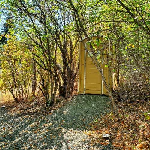 A yellow shipping container nestled among trees and autumn foliage, surrounded by gravel and fallen leaves.