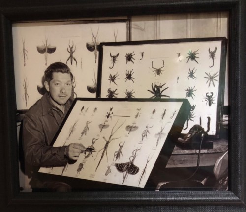 A man poses with large illustrated boards of various insects and arachnids in a vintage setting.