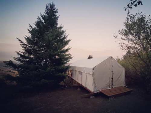 A white tent cabin beside a tall green tree, set against a soft evening sky.