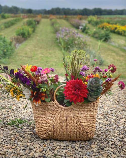 A woven basket filled with vibrant flowers sits on a gravel path, surrounded by a colorful flower field.