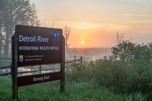 Sign for Detroit River International Wildlife Refuge at sunrise, with mist rising over the landscape.
