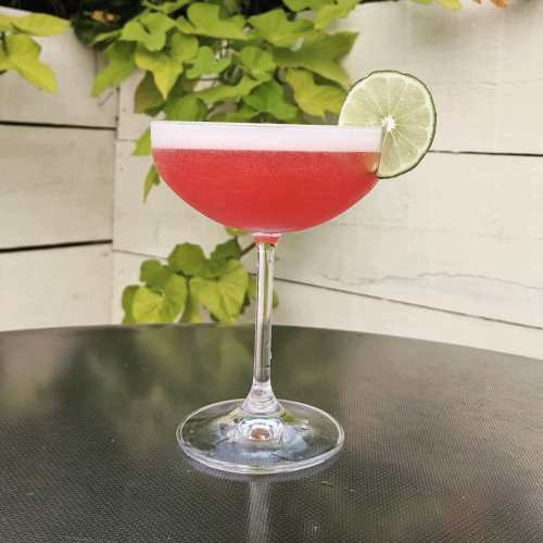 A vibrant pink cocktail in a coupe glass, garnished with a lime slice, set against a backdrop of green leaves.