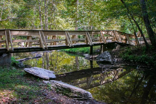 A wooden bridge spans a calm stream, surrounded by lush green trees and reflections in the water.
