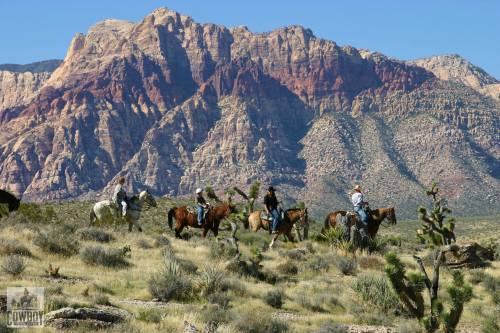 Four horseback riders traverse a desert landscape with striking red rock mountains in the background.