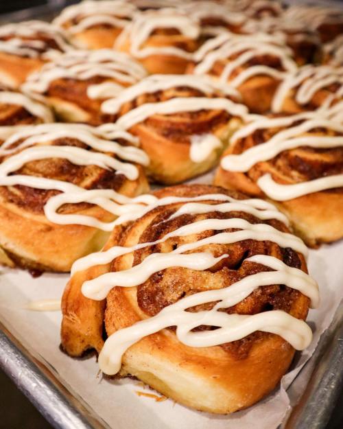 Freshly baked cinnamon rolls drizzled with cream cheese icing, arranged on a baking tray.