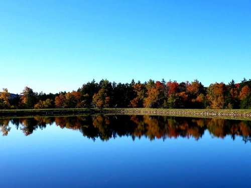 A serene lake reflecting colorful autumn trees under a clear blue sky.