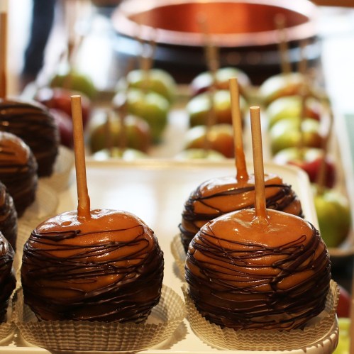 Caramel apples drizzled with chocolate, displayed on a tray with fresh apples in the background.
