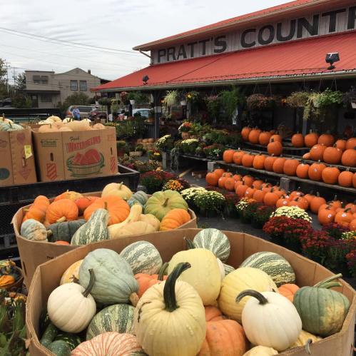 A vibrant farm stand displays pumpkins, gourds, and watermelons, with colorful flowers in the background.