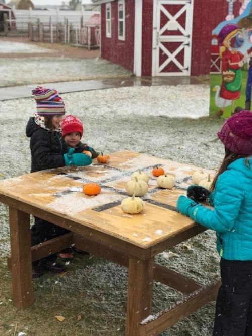 Children playing with pumpkins on a snowy day at a wooden table, with a red barn in the background.