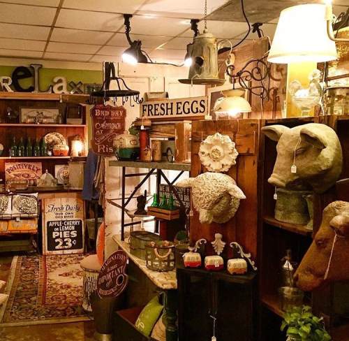 A cozy vintage shop filled with rustic decor, signs, and farm-themed items, creating a warm, inviting atmosphere.