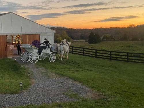 A horse-drawn carriage waits outside a barn at sunset, with a scenic field and trees in the background.