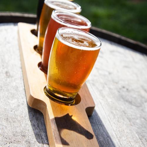 A wooden flight paddle holds three glasses of different beers, with a shadow of a horse visible on the surface.