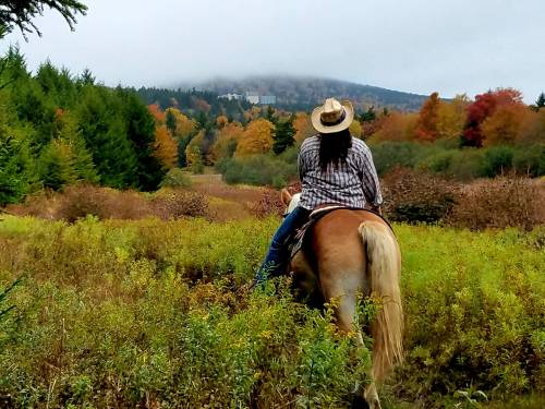A person on horseback, wearing a cowboy hat, gazes at a misty mountain surrounded by colorful autumn foliage.