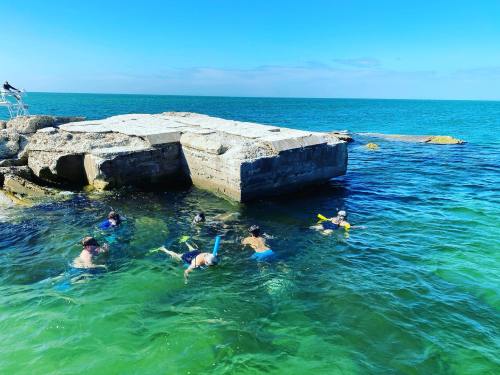 A group of people snorkeling around a rocky area in clear blue water under a bright sky.