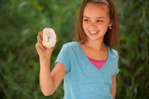 A smiling girl holds a geode, showcasing its crystal interior, surrounded by greenery.