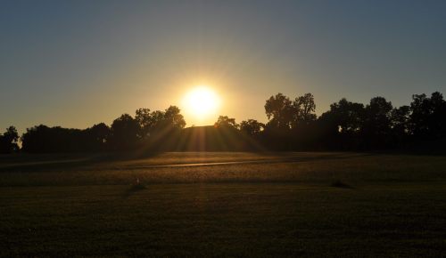 A sunset over a grassy field, with trees silhouetted against the bright sun and a clear blue sky.