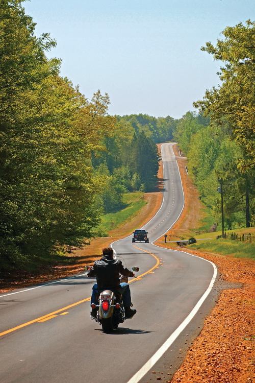A motorcyclist rides down a winding road surrounded by lush green trees on a sunny day.