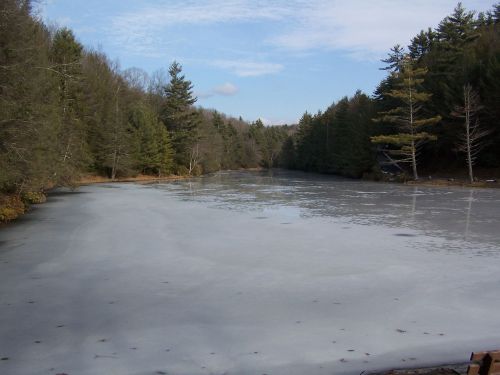 A serene frozen lake surrounded by trees under a clear blue sky.