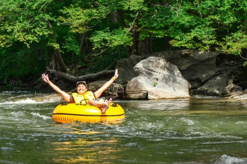 A person in a yellow inner tube smiles and raises their arms while floating down a river surrounded by greenery.