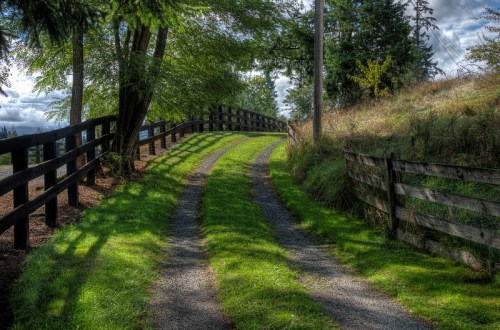 A winding gravel path bordered by wooden fences, surrounded by lush greenery and trees under a partly cloudy sky.