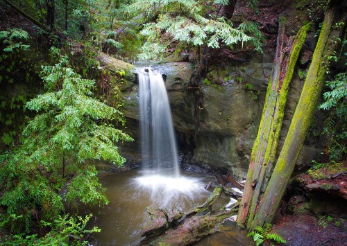 A serene waterfall cascades into a tranquil pool, surrounded by lush green foliage and moss-covered rocks.