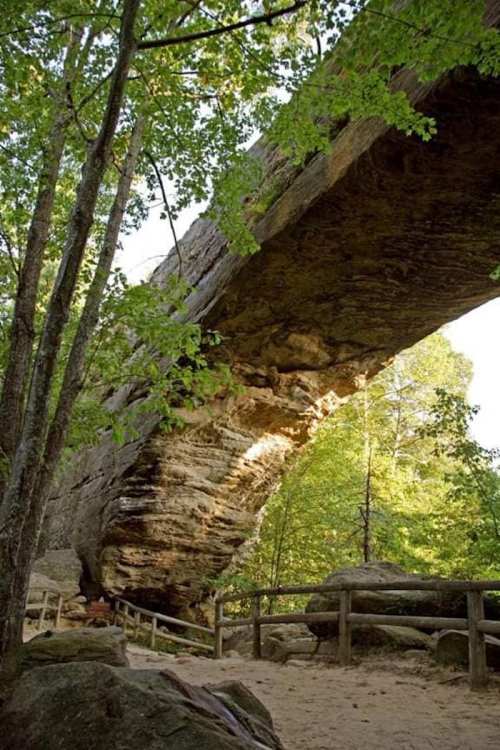 A natural stone arch surrounded by trees, with a sandy path and wooden railing beneath it.