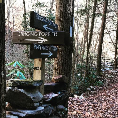 Wooden trail signs point to Stinging Fork Falls and Piney River, surrounded by trees and rocky terrain.