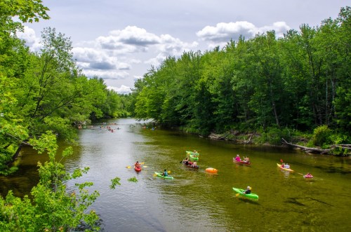 A serene river scene with kayakers paddling among lush green trees and fluffy clouds in the sky.