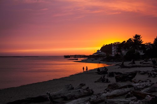 Silhouetted figures walk along a beach at sunset, with vibrant orange and purple hues reflecting on the water.