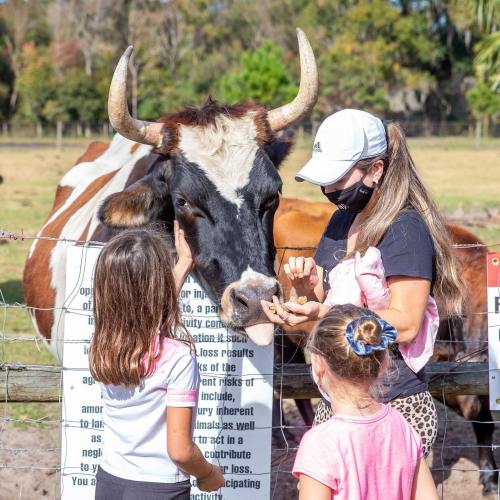 A woman and two children feed a cow at a farm, with informational signs in the background.